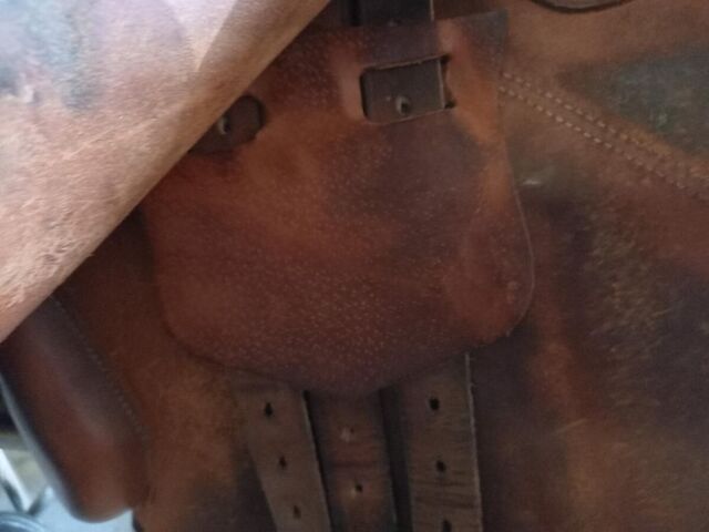 SELLE GBS