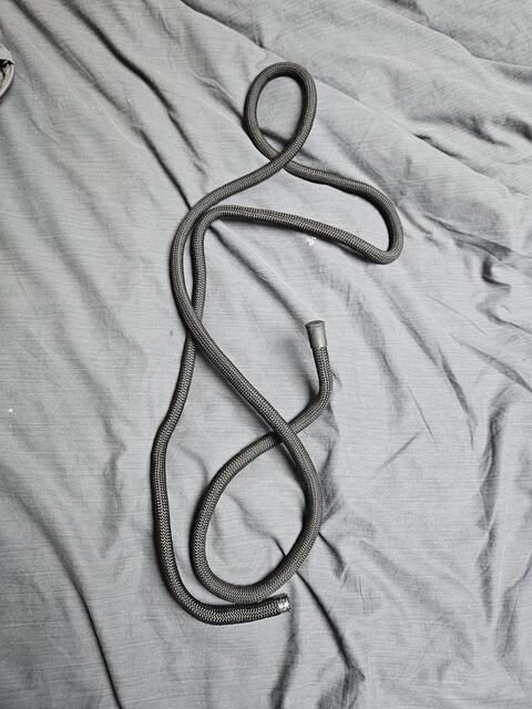 Longe de licol éthologique