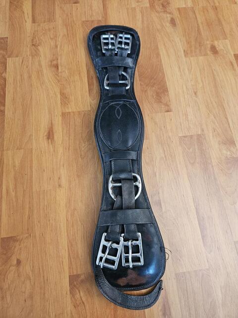 Sangle de dressage