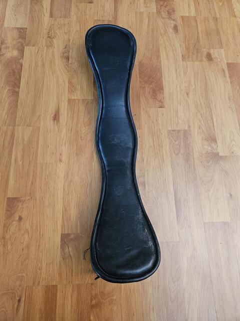 Sangle de dressage