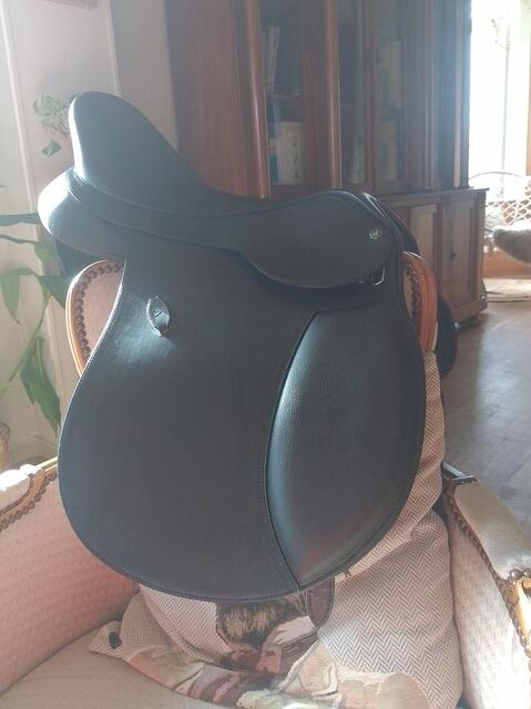 Selle Arena mixte