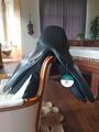Selle Arena mixte