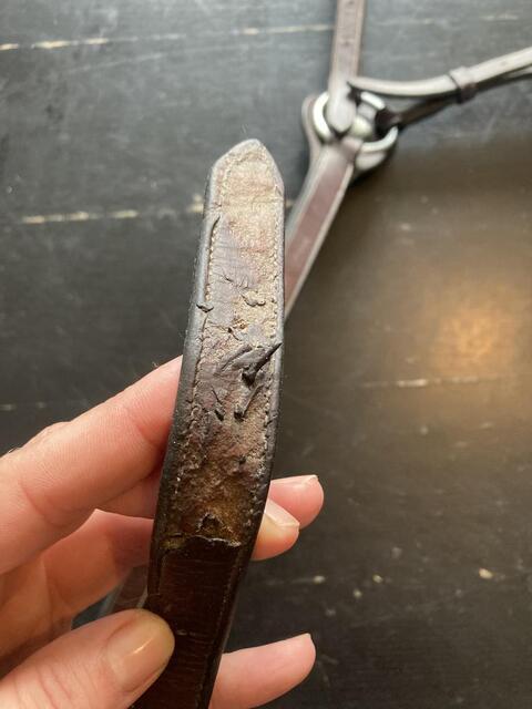 Collier de chasse