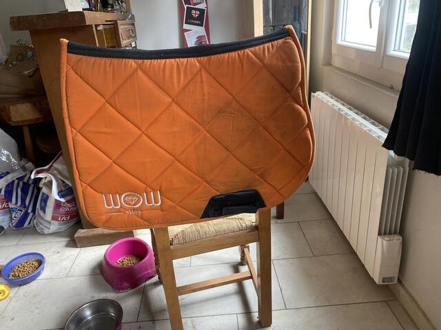 Tapis
