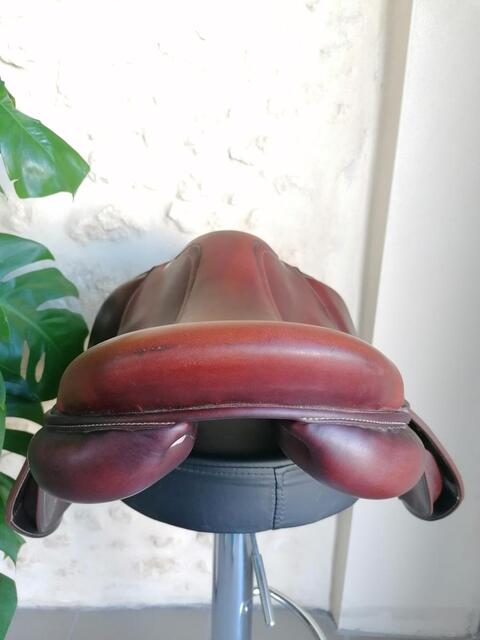 Selle Antares Evolution 17'5