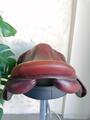 Selle Antares Evolution 17'5