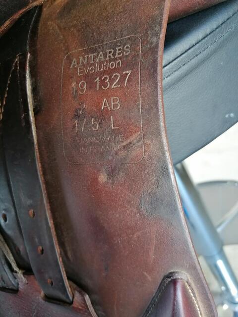 Selle Antares Evolution 17'5