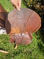 Selle gbs et sangle bavette