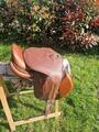 Selle gbs et sangle bavette