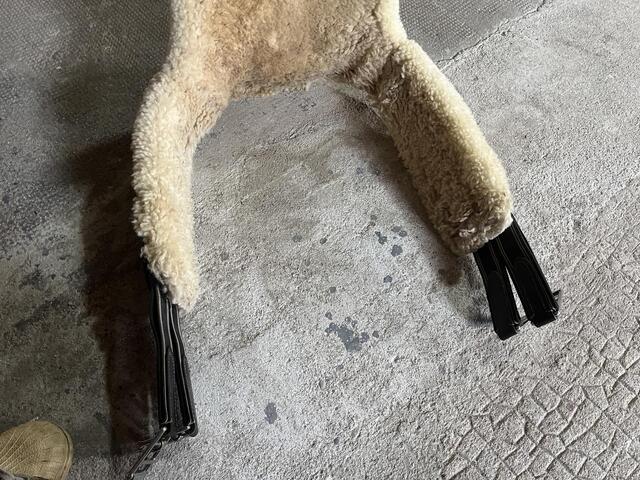 Bavette cheval