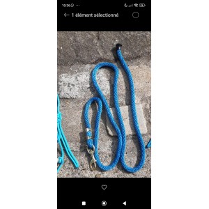 Longe de licol bleu