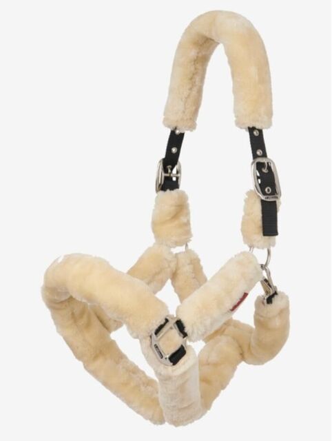 Licol mouton LEMIEUX