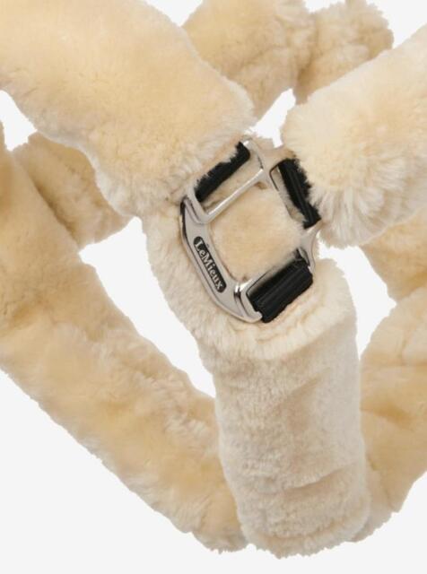 Licol mouton LEMIEUX