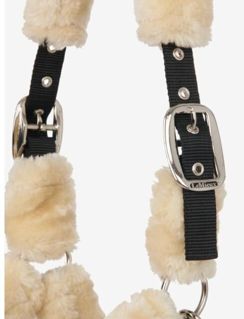 Licol mouton LEMIEUX