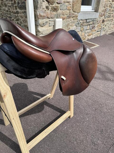 Selle gbs