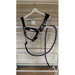 Licol LeMieux Capella Iris Cob et sa longe Lasso