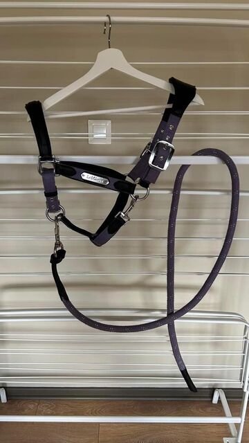 Licol LeMieux Capella Iris Cob et sa longe Lasso