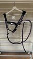 Licol LeMieux Capella Iris Cob et sa longe Lasso