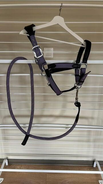 Licol LeMieux Capella Iris Cob et sa longe Lasso