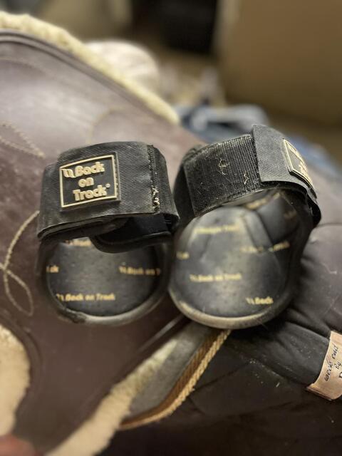 Protections Back on Track