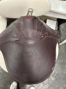 Sangle bavette Cwd