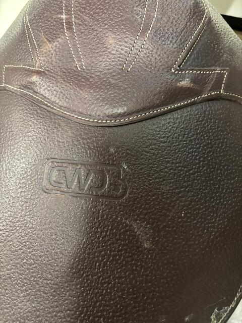 Sangle bavette Cwd