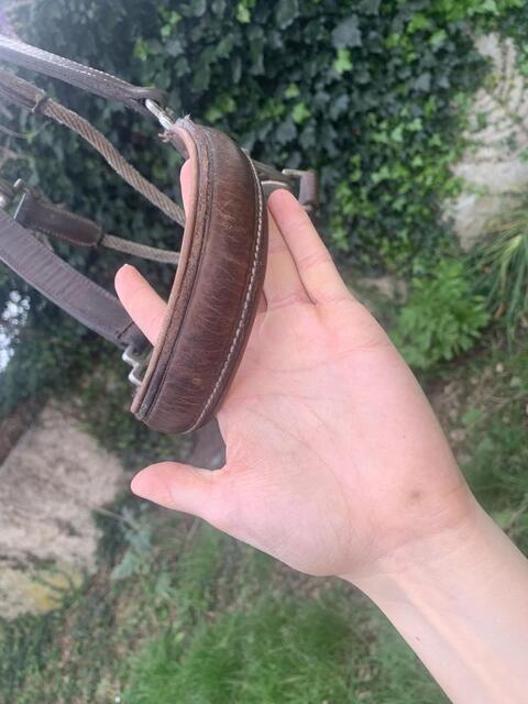 Licol en cuir