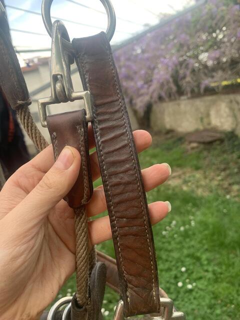 Licol en cuir