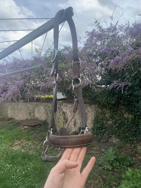 Licol en cuir