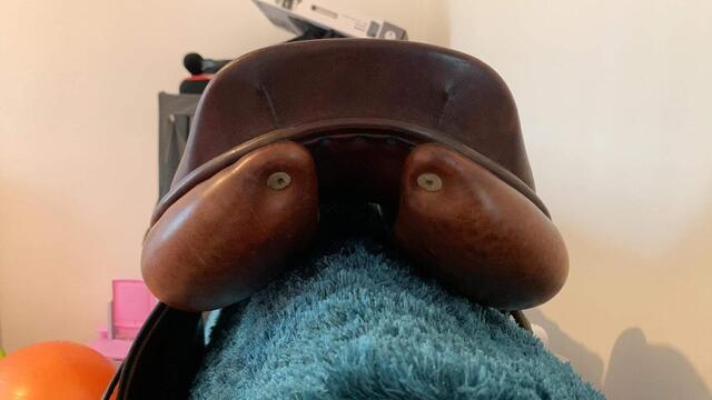 Selle brunet pineau 17,5