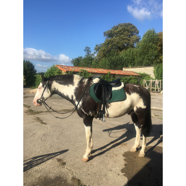 Tapis Griffin Nuumed vert forêt doublé en mouton naturel