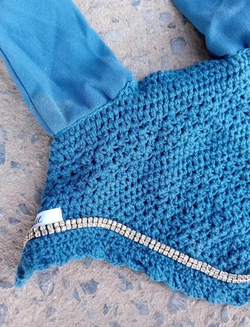 Bonnet