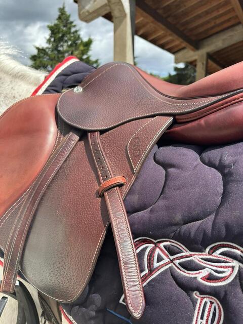 Selle CWD
