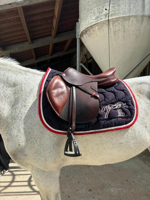 Selle CWD