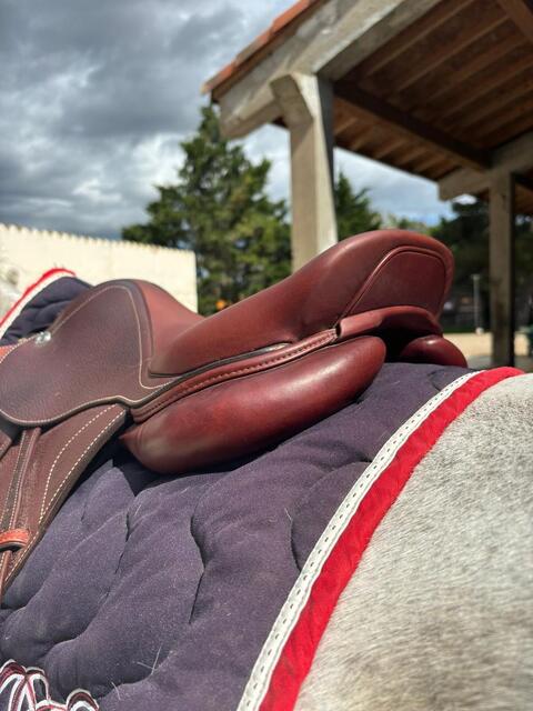 Selle CWD