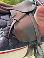 Selle CWD