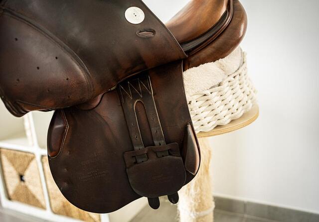 Selle meyer 17