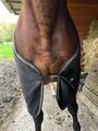Polaire cheval 145cm