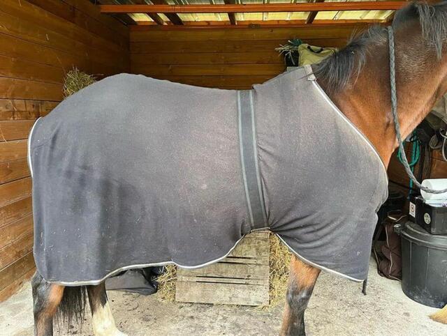 Polaire cheval 145cm