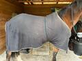 Polaire cheval 145cm