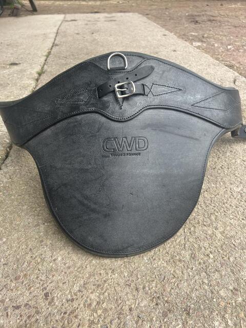 Bavette CWD neuve