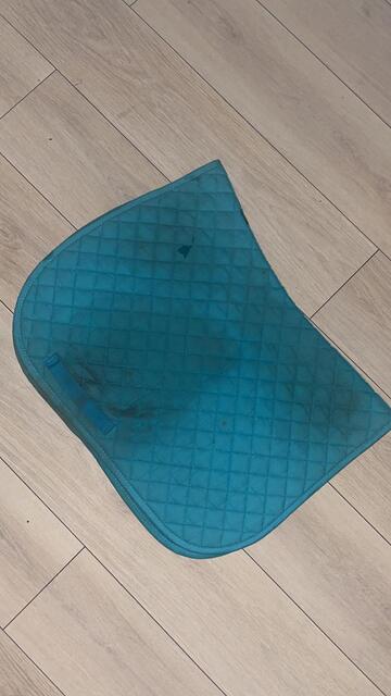 Licol + tapis