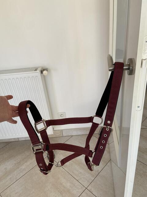Licol Lami-Cell Equi-sky bordeaux