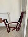 Licol Lami-Cell Equi-sky bordeaux