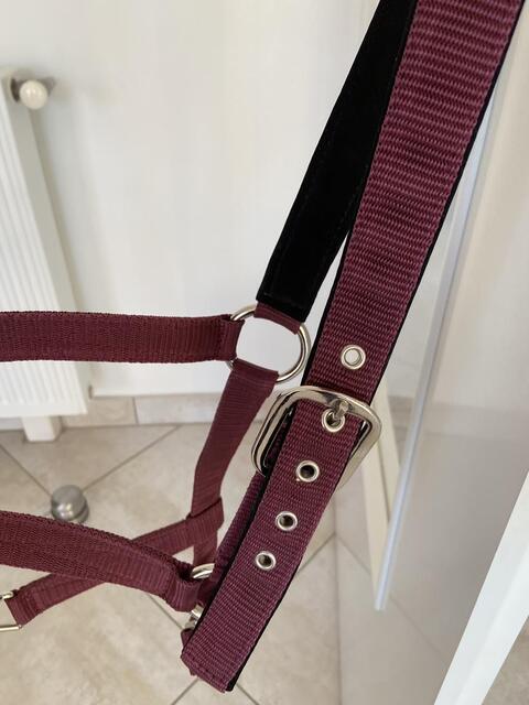 Licol Lami-Cell Equi-sky bordeaux