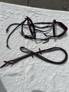 Filet CWD têtière anatomique taille 3 (cheval jusqu'à 1m75) + rênes CWD