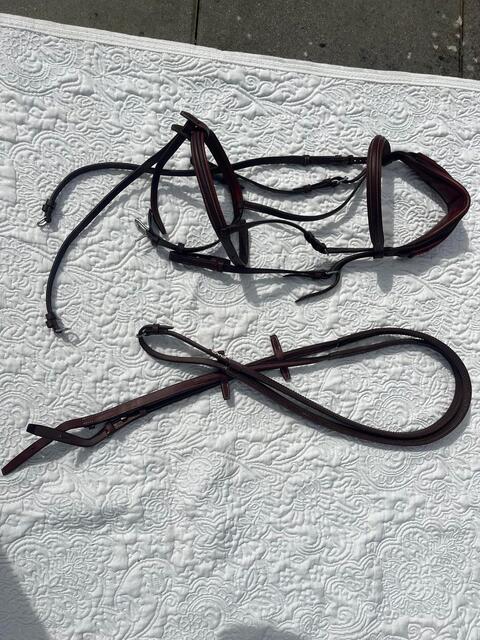 Filet CWD têtière anatomique taille 3 (cheval jusqu'à 1m75) + rênes CWD