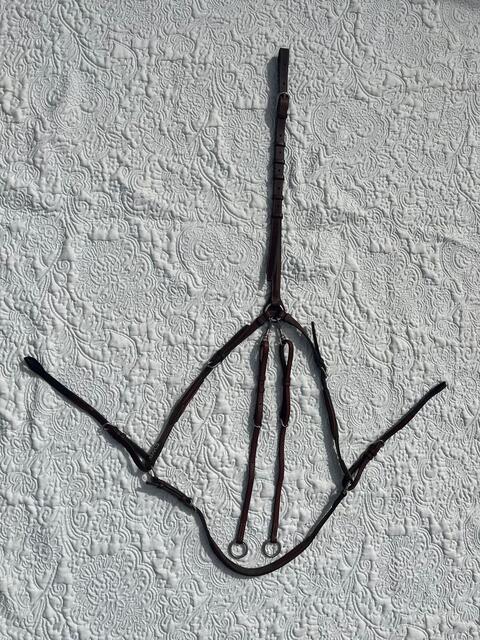 Collier de chasse + anneaux CWD