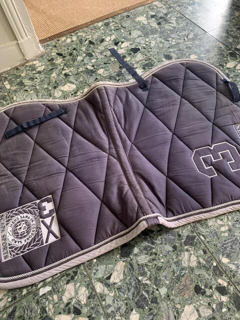 Tapis gris Scapa