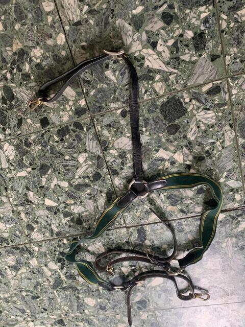 collier de chasse